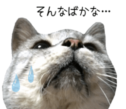 Home Guardinyan sticker #15839109