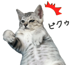 Home Guardinyan sticker #15839110