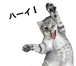 Home Guardinyan sticker #15839111