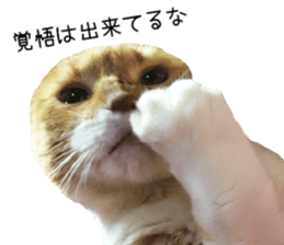 Home Guardinyan sticker #15839112