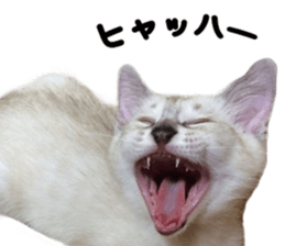 Home Guardinyan sticker #15839114