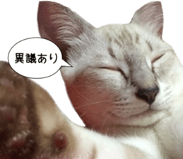 Home Guardinyan sticker #15839116