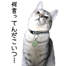 Home Guardinyan sticker #15839117