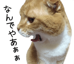 Home Guardinyan sticker #15839119