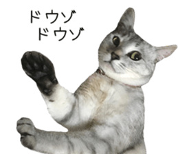 Home Guardinyan sticker #15839120