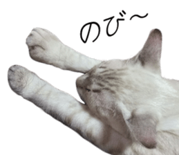 Home Guardinyan sticker #15839122