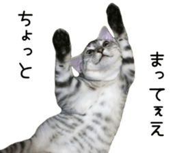 Home Guardinyan sticker #15839123