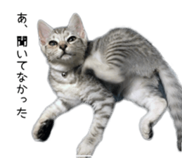 Home Guardinyan sticker #15839124