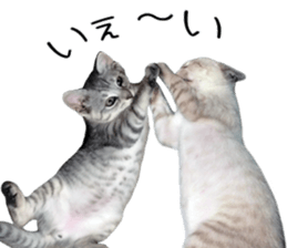 Home Guardinyan sticker #15839125