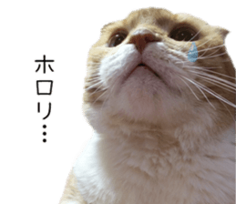 Home Guardinyan sticker #15839126