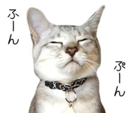 Home Guardinyan sticker #15839127