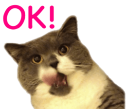 Neko's Ume-san Sticker sticker #15839133