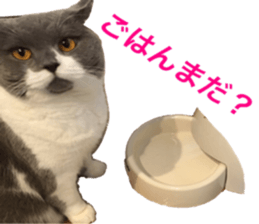 Neko's Ume-san Sticker sticker #15839139