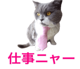 Neko's Ume-san Sticker sticker #15839143