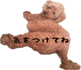 Poodle Sticker Choco 2 sticker #15839810