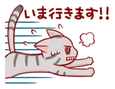 Two-frame cat sticker #15840559