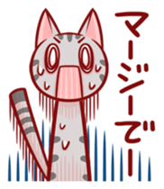 Two-frame cat sticker #15840567