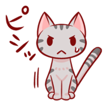 Two-frame cat sticker #15840586