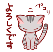 Two-frame cat sticker #15840587