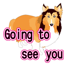 Vibrant Sheltie 2 sticker #15841107