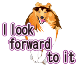 Vibrant Sheltie 2 sticker #15841112