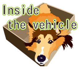 Vibrant Sheltie 2 sticker #15841116