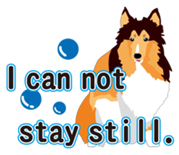 Vibrant Sheltie 2 sticker #15841119