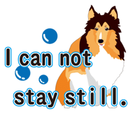 Vibrant Sheltie 2 sticker #15841119