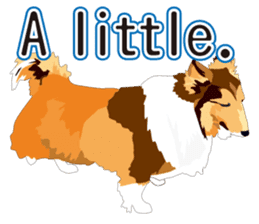 Vibrant Sheltie 2 sticker #15841123