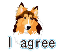 Vibrant Sheltie 2 sticker #15841137
