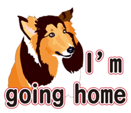 Vibrant Sheltie 2 sticker #15841140