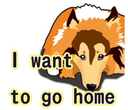 Vibrant Sheltie 2 sticker #15841141