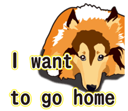 Vibrant Sheltie 2 sticker #15841141