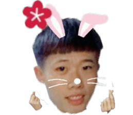 Lin Ding Dong sticker #15841476