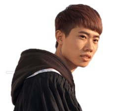 Lin Ding Dong sticker #15841512