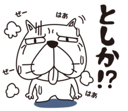 Saucy Bulldog Part 3 sticker #15843652