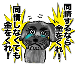 Funny 4dogs sticker #15845435