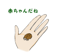 The child of a turtle"LunLun" sticker #15846282