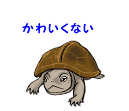 The child of a turtle"LunLun" sticker #15846284