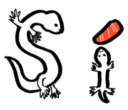 White lizard with SUSHI sticker #15846394