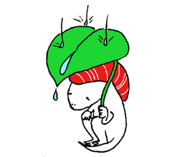 White lizard with SUSHI sticker #15846417