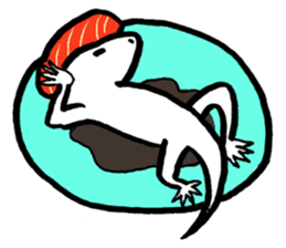 White lizard with SUSHI sticker #15846425