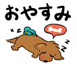 dog and little bird sticker #15846889