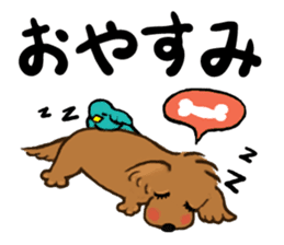 dog and little bird sticker #15846889