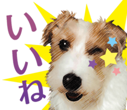 The APACHOUT Choir sticker #15847162