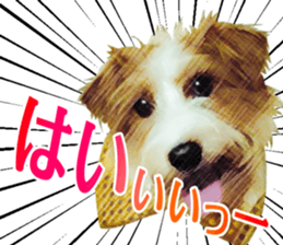 The APACHOUT Choir sticker #15847163