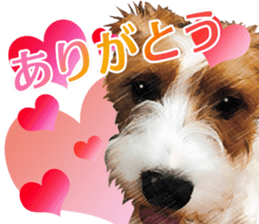 The APACHOUT Choir sticker #15847164