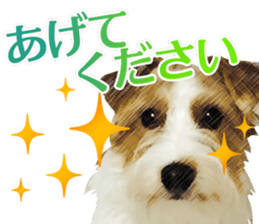 The APACHOUT Choir sticker #15847166