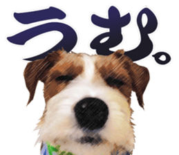 The APACHOUT Choir sticker #15847169