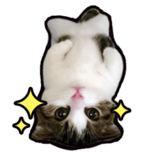 Tetsuro sticker for everyday life sticker #15847722